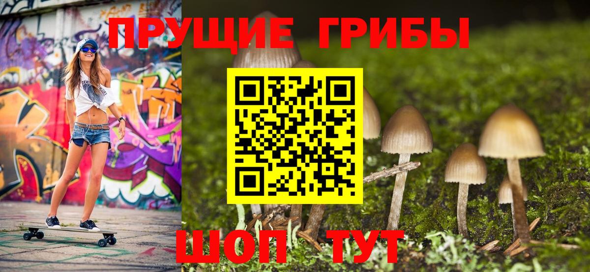 Псилоцибиновые грибы ЛСД Сибай