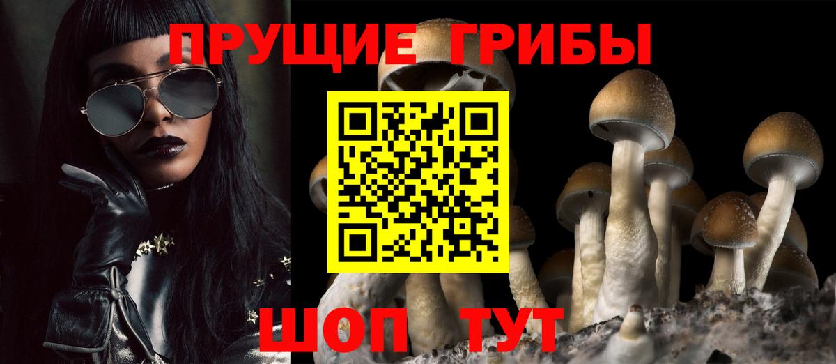 Псилоцибиновые грибы Cubensis  Вход с VPN  наркотики  Сибай 